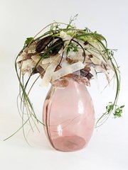 Раскидистый / Растрёпыш name от  1