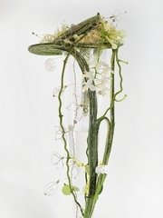 Необычный name от  2