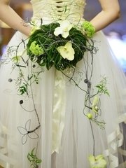 Раскидистый / Растрёпыш name от  1