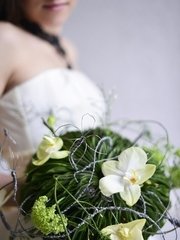 Раскидистый / Растрёпыш name от  2