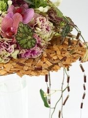 Раскидистый / Растрёпыш name от  2