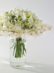 Классический вытянутый name от  1