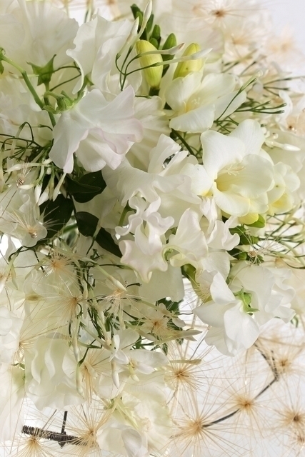 Классический вытянутый name от  2