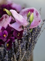 Необычный name от  2