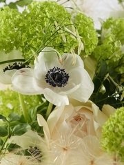 Классический вытянутый name от  2