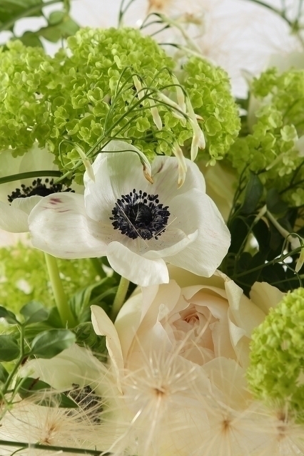 Классический вытянутый name от  2