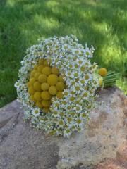 Классический круглый name от  1