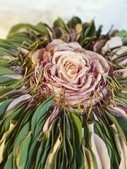 Необычный name от  2