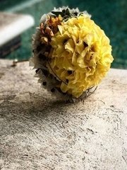 Классический круглый name от  1