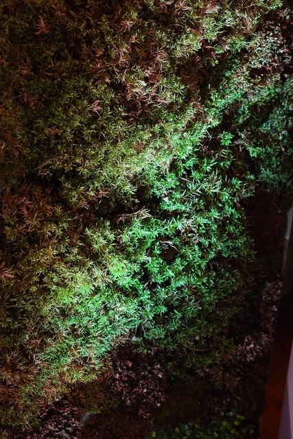 filter_style_decora в filter_place_decora от Krokusdecor - студия декора Елены Сиухиной 3