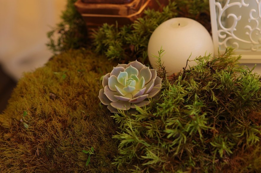 filter_style_decora в filter_place_decora от Krokusdecor - студия декора Елены Сиухиной 15