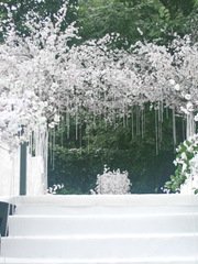 Выездная регистрация в Классика от Студия декора Gogelia-Decor 1