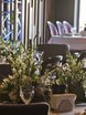 Модерн в Ресторан / Банкетный зал от  3