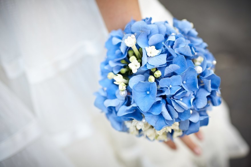 Свадьба в Турандот от Агентство стильных свадеб Абетель 2