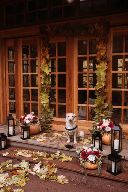 Фотопроект Алексея и Елены от Свадебное агентство Белая Sказка 18