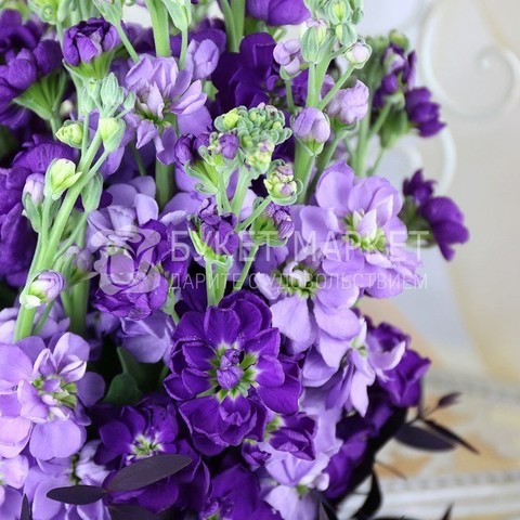 Монобукет из одного вида цветов, Классический вытянутый name от Букет Маркет 3