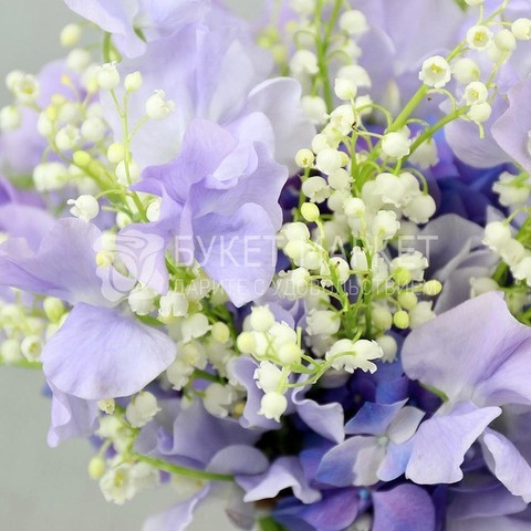 Раскидистый / Растрёпыш name от Букет Маркет 3