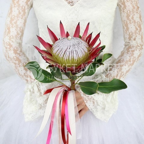 Необычный, Монобукет из одного вида цветов name от Букет Маркет 3