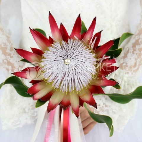 Необычный, Монобукет из одного вида цветов name от Букет Маркет 4