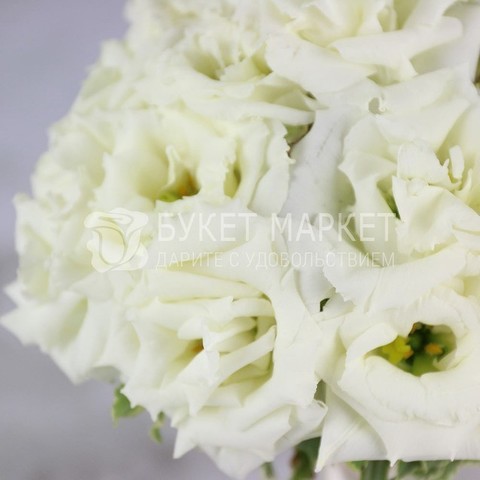 Монобукет из одного вида цветов, Классический круглый name от Букет Маркет 3