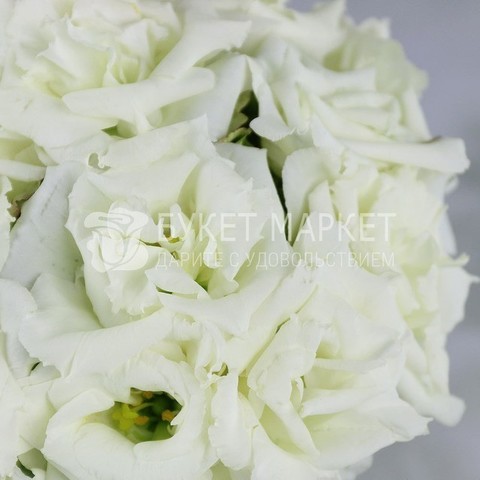 Монобукет из одного вида цветов, Классический круглый name от Букет Маркет 4