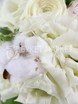 Классический круглый name от Букет Маркет 3