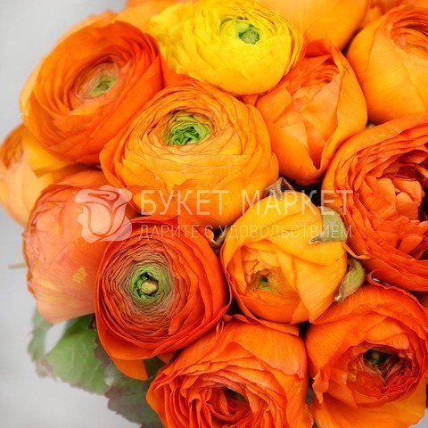 Монобукет из одного вида цветов, Классический круглый name от Букет Маркет 3