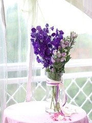 Классика в Шатер от Студия декора и флористики Мои любимые цветы 2