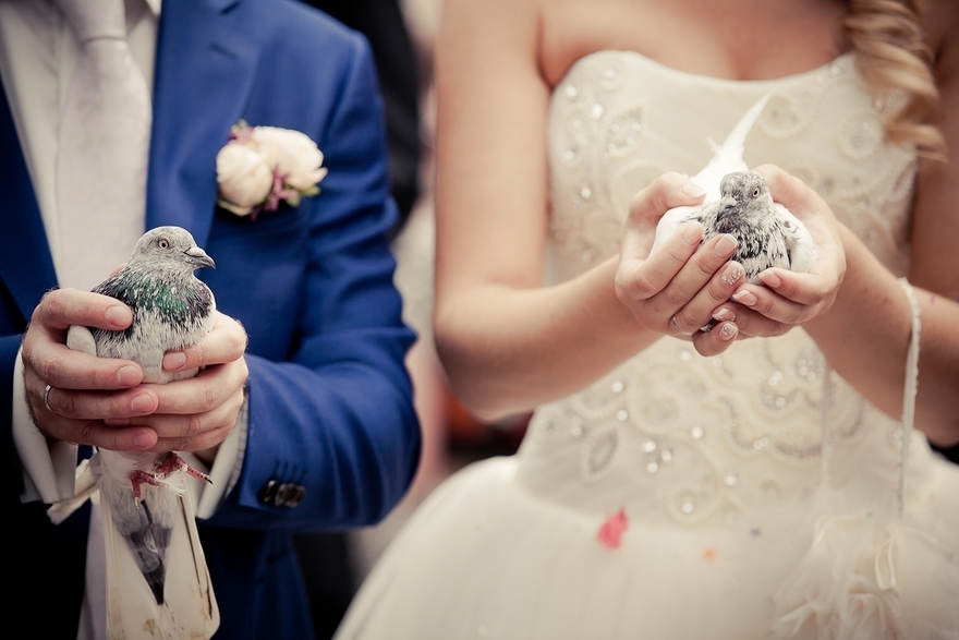 Свадьба Кати и Влада от YAZNAYU 8