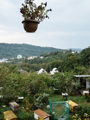 Фотоотчет со свадьбы Лены и Володи от  2