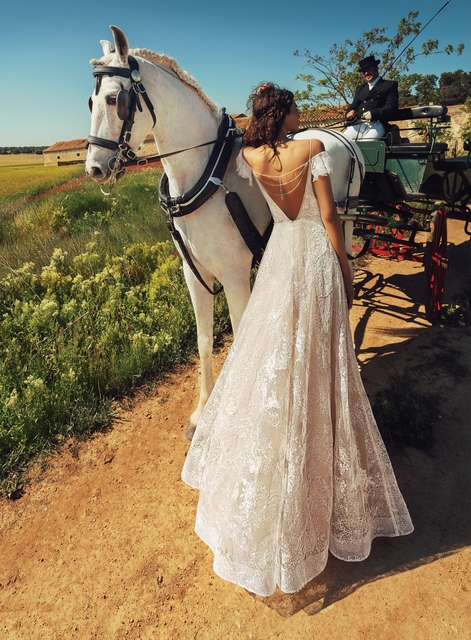 Свадебное платье Arisel. Силуэт А-силуэт. Цвет Белый / Молочный. Вид 2