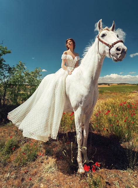 Свадебное платье Rozmary. Силуэт А-силуэт. Цвет Белый / Молочный. Вид 1