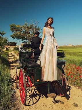 Свадебное платье Adelina. Силуэт А-силуэт. Цвет Айвори / Капучино. Вид 1