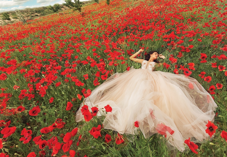 Свадебное платье Katarina. Силуэт А-силуэт. Цвет Айвори / Капучино. Вид 3