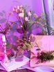 Ключи от сказки от Свадебное агентство Major Wedding 7