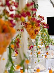 Столы и стулья гостей / Банкет в Весенняя / Летняя от Студия цветов Slava Rosca 2