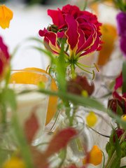 filter_chto_decorating в filter_style_decora от Студия цветов Slava Rosca 2