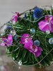 Весенняя / Летняя в На веранде, Природа от Студия цветов Slava Rosca 9