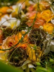 Президиум / Стол молодоженов в Весенняя / Летняя от Студия цветов Slava Rosca 1