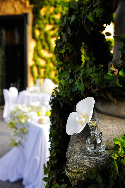 Классика в Ресторан / Банкетный зал от Студия цветов Slava Rosca 9