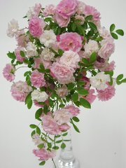 Раскидистый / Растрёпыш name от Студия цветов Slava Rosca 1