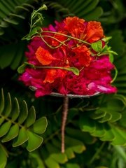 Необычный name от Студия цветов Slava Rosca 1