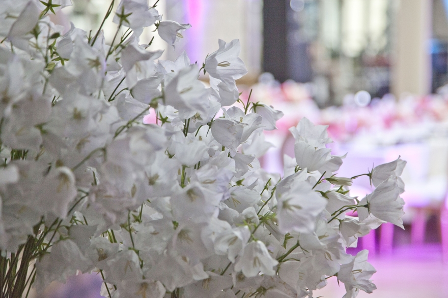 Весенняя / Летняя в Ресторан / Банкетный зал от Авторская студия MaryArty 7