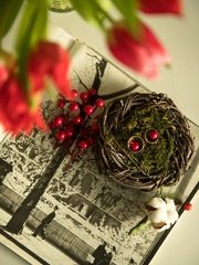 Свадьба Александра и Марии, 14.02.18 г. от Свадебный распорядитель и хореограф Ирэм 2