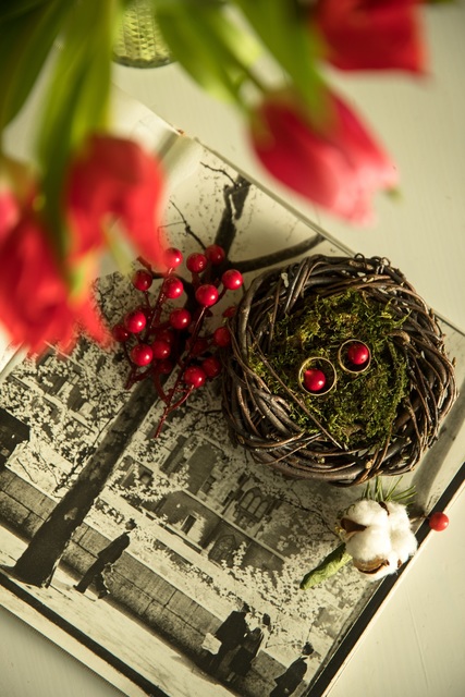 Свадьба Александра и Марии, 14.02.18 г. от Свадебный распорядитель и хореограф Ирэм 2