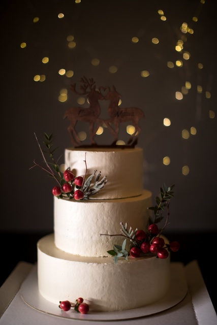 Свадьба Александра и Марии, 14.02.18 г. от Свадебный распорядитель и хореограф Ирэм 20