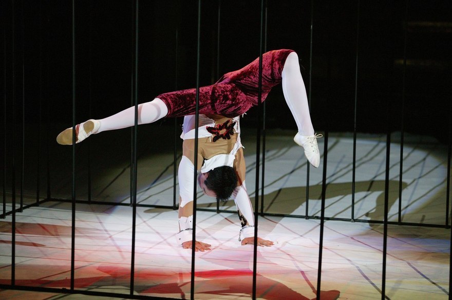 Эквилибр на свадьбу от Свето-цирковое ART SHOW 3