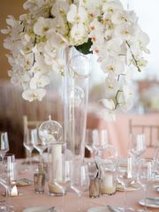 Столы и стулья гостей / Банкет в Весенняя / Летняя, Классика от Студия декора и флористики Charm ELLE 1