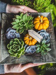 Рустик, Эко в Ресторан / Банкетный зал от Студия декора и флористики Perlamutr studio 1