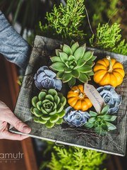 Рустик, Эко в Ресторан / Банкетный зал от Студия декора и флористики Perlamutr studio 2